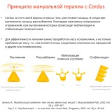 Принцип терапии